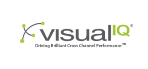 logo-visualiq